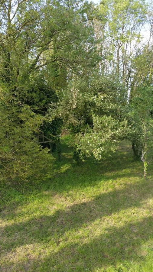 Aux Nobles Acacias Apartman Épagne-Épagnette Kültér fotó